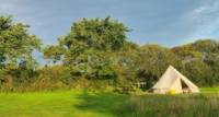 Grass Pitch Tents Only 2