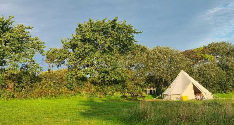 Grass Pitch Tents Only 2