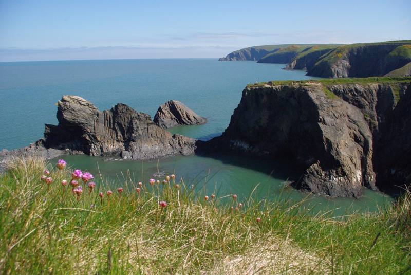 Solva to St David's Walk, Pembrokeshire | Cool Places