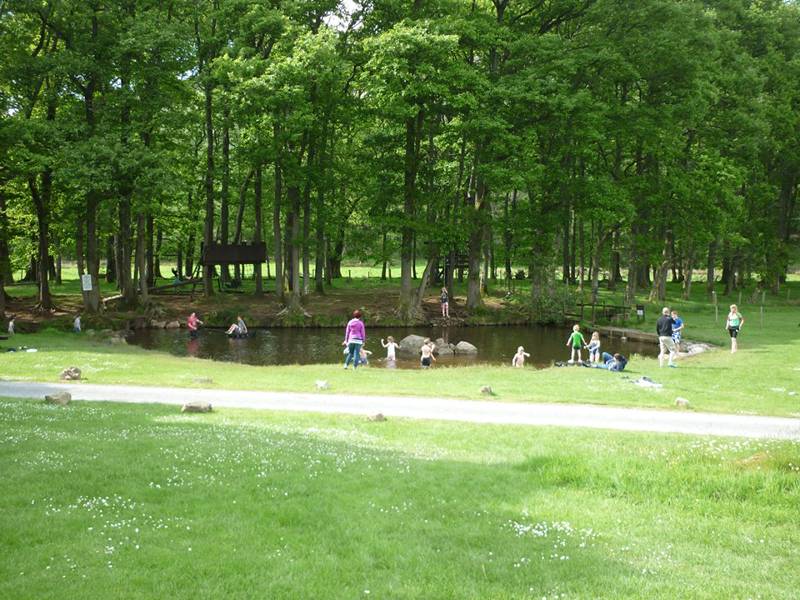 Grass pitch – EHU (Tents only)