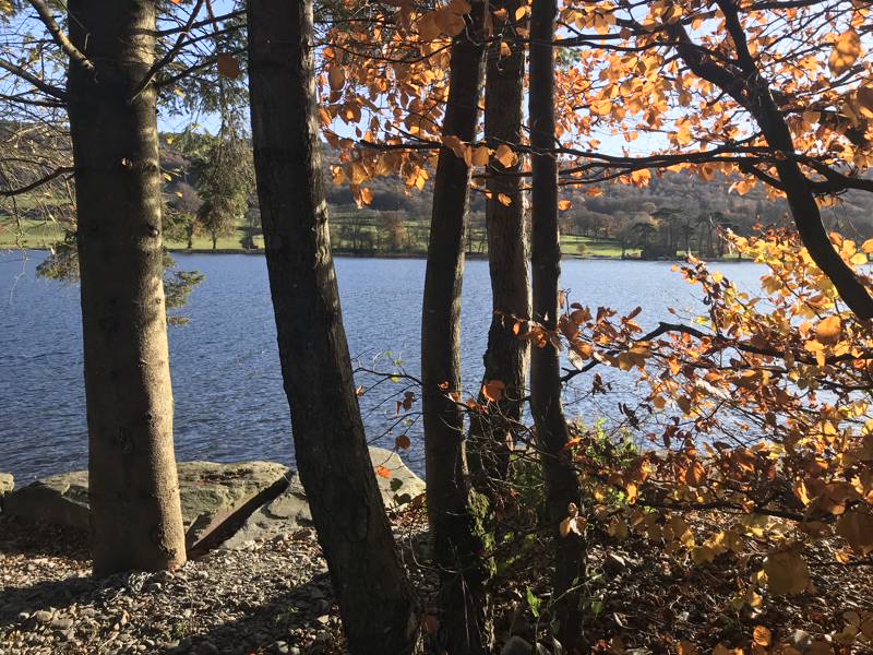 Pier Cottage Caravan Park Coniston