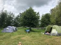 Woodland Meadow Pitch