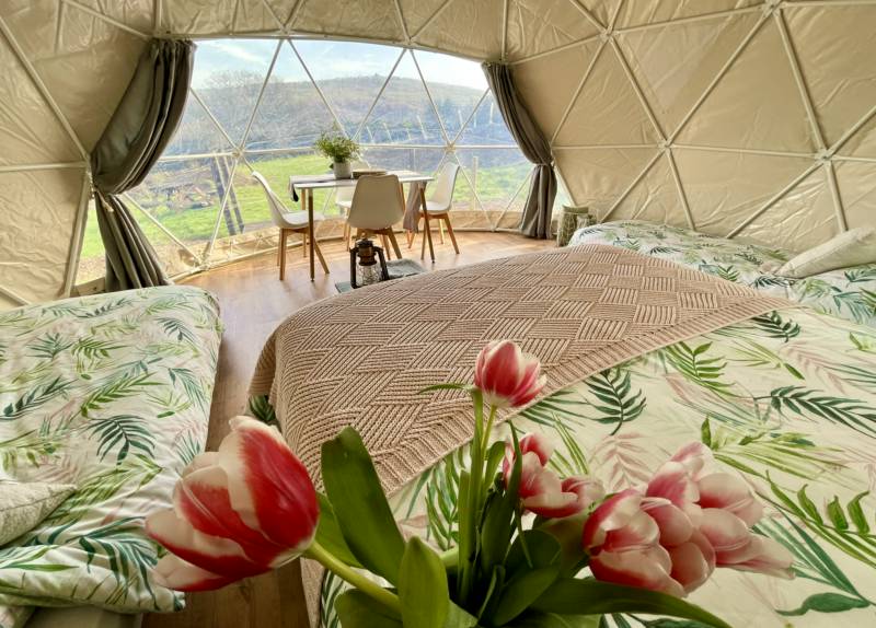 Geodome 1