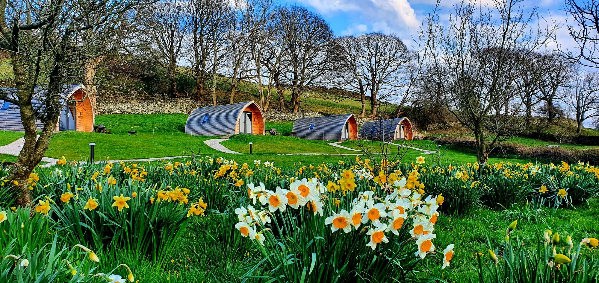 Glamping in Bowness on Windermere holidays at Cool Places