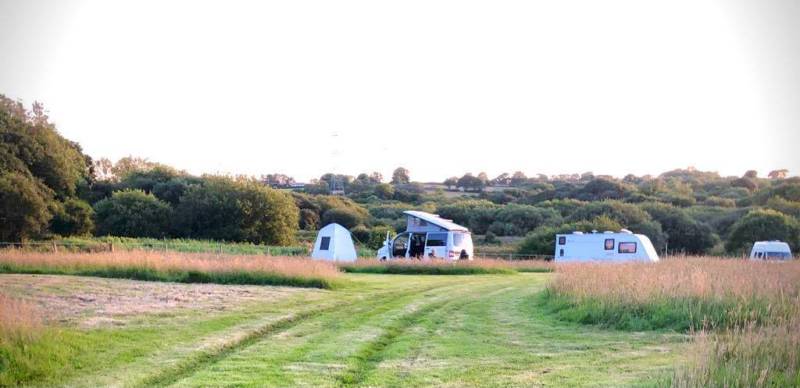 Electric Grass Pitch