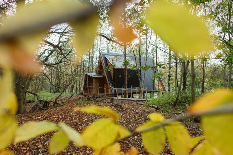 'Flint' the woodland den