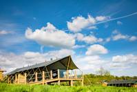 Boutique safari lodge, above a gorgeous Stirlingshire nature reserve