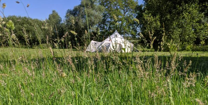 Lotus Belle Tent