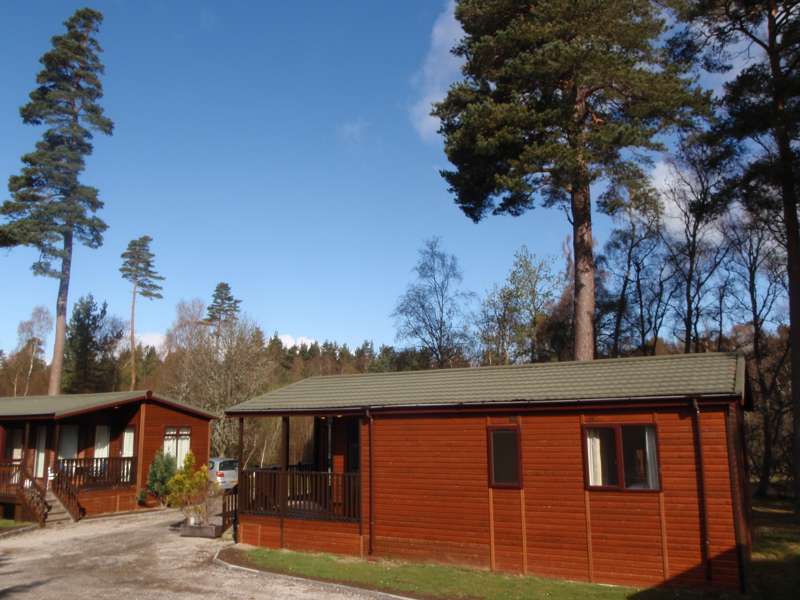 Woodland Cabins Lodges Best Uk Cabins In The Woods Cool