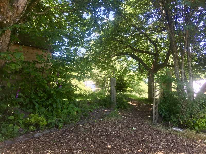 Wild Rose Vintage Caravan