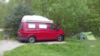 Small Campervan - Pied flycatcher field