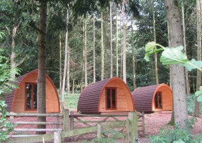 The Best Pod Glamping Sites for New Year's Day Breaks