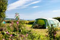 Long Field - Tent Pitch 21