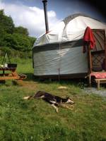 Harmony Yurt