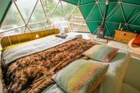 Ash – Stylish eco-friendly geo-domes with gorgeous Welsh woodland views