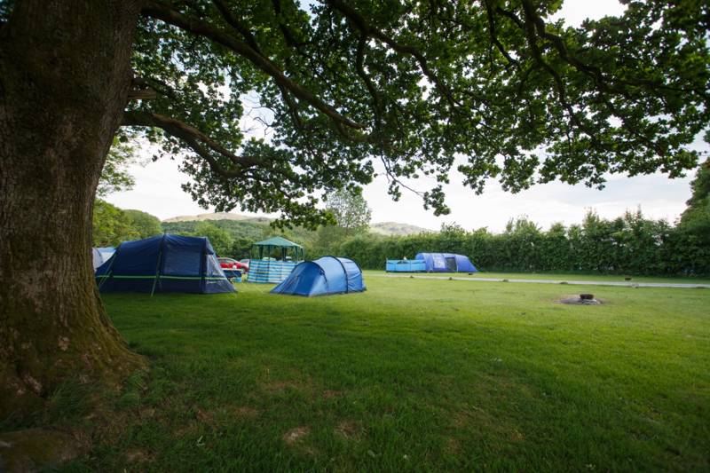 Motorhome Pitch (no electric hook-up)