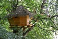 Treehouse glamping in a Normandy woodland