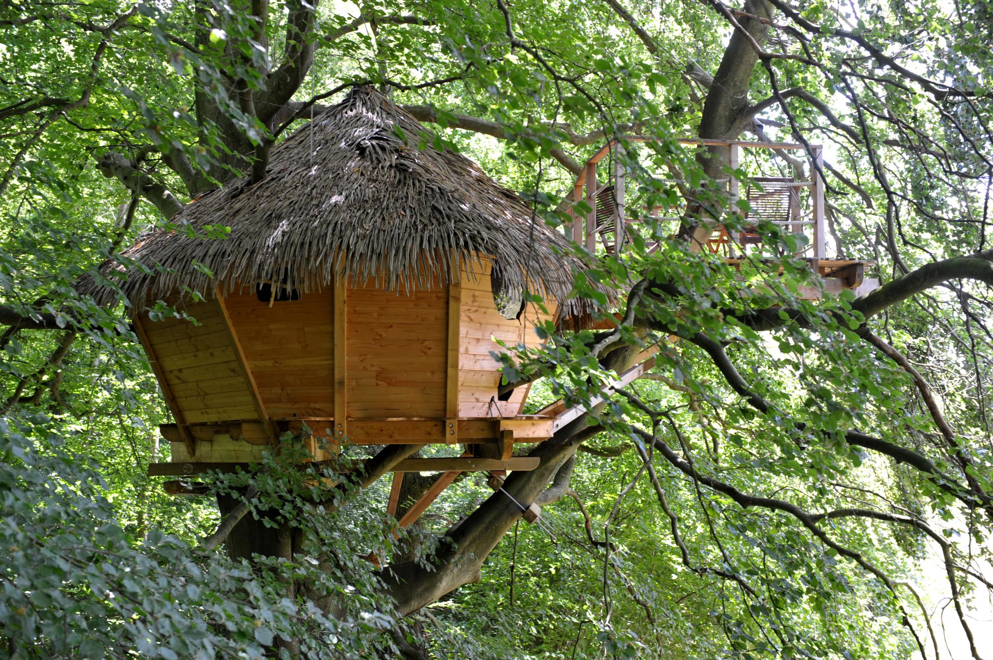 Glamping in Tree house – Cool Camping