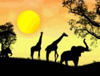 On Safari-Pitch 1