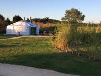 Foxglove Yurt