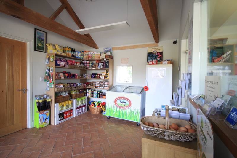 Silverbird Airstream Caravan