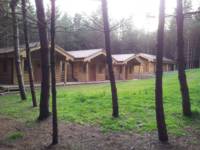 Wyldwood Lodge