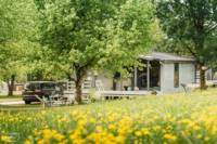 Chalet Eucalyptus