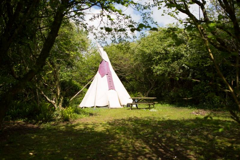 Medium Tipi 5 - Village Field