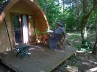 Cosy pods that offers hassle-free glamping in the most serene of surroundings