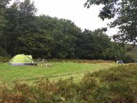 Super Secluded tent pitches