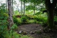 Woodland Tent Pitch 1 (3.5m x 3.5m)