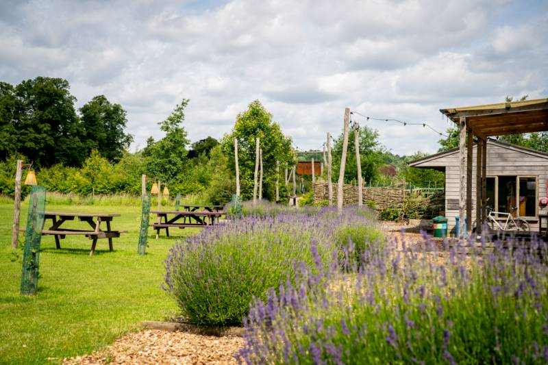 Upper Meadow TENT pitch (vehicle free field)