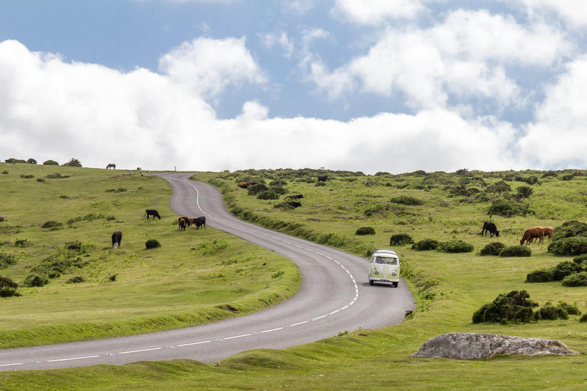 Campervan Hire in the New Forest | Campervan Rental Companies