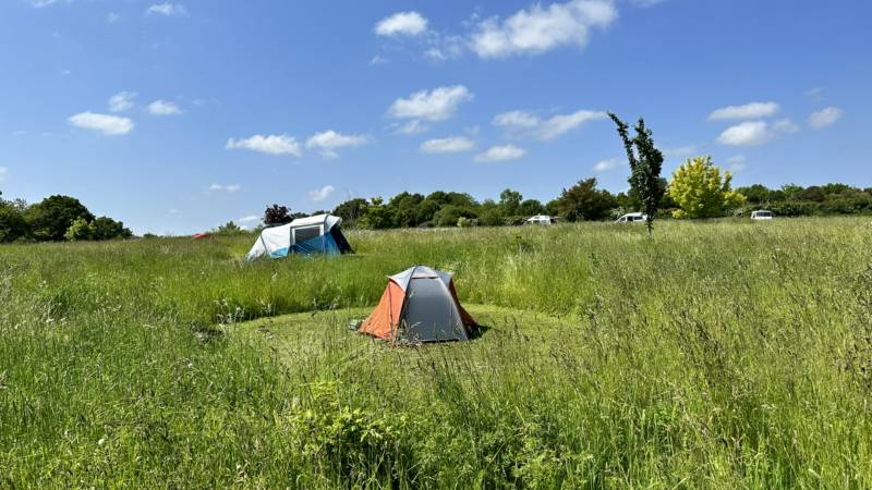 Tent Pitch