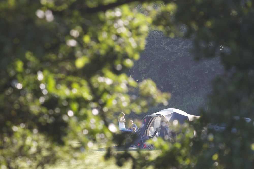 Campsites in Swanage & Isle of Purbeck holidays at Cool Places