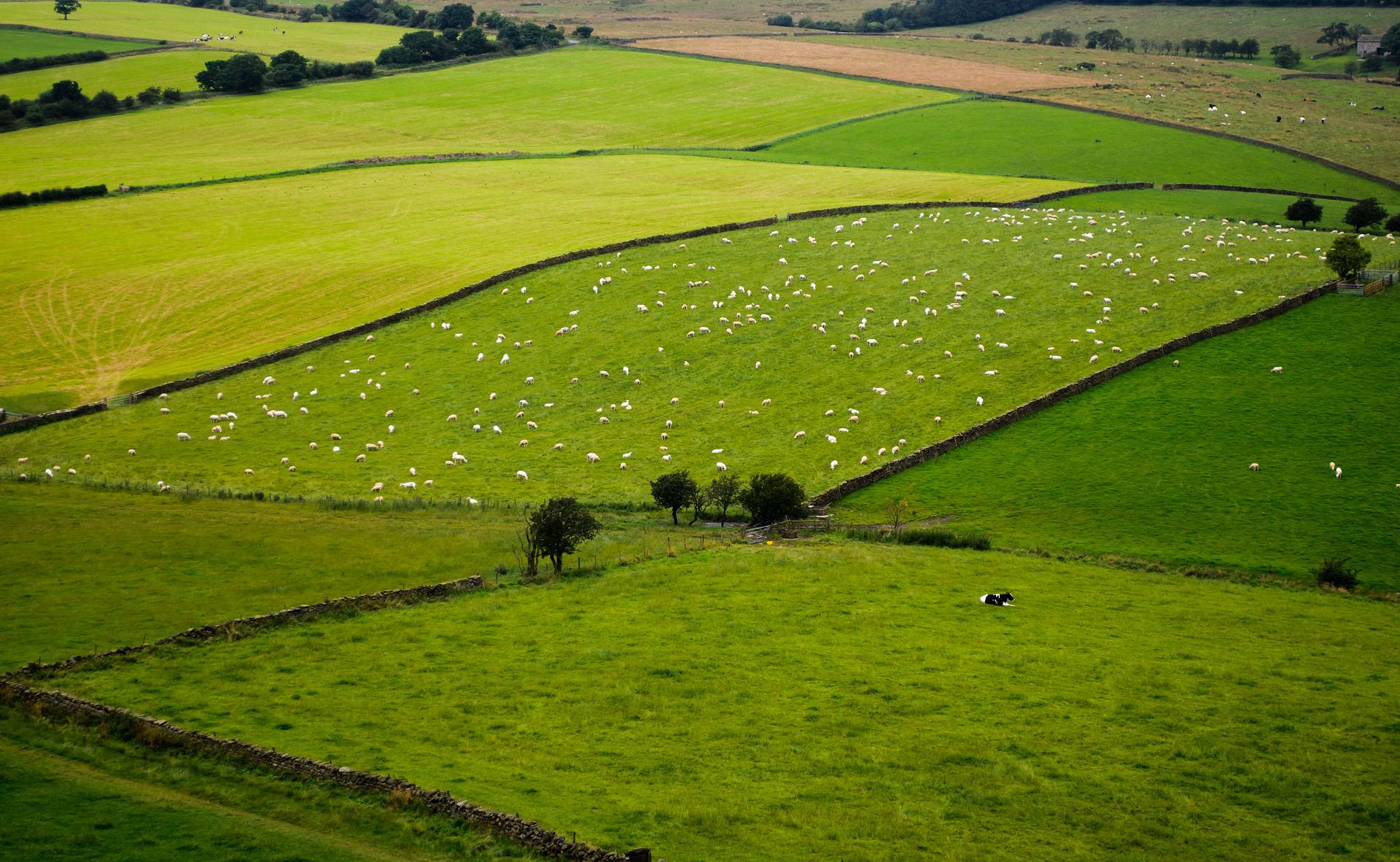 Richmond Camping | Campsites in Richmond, North Yorkshire