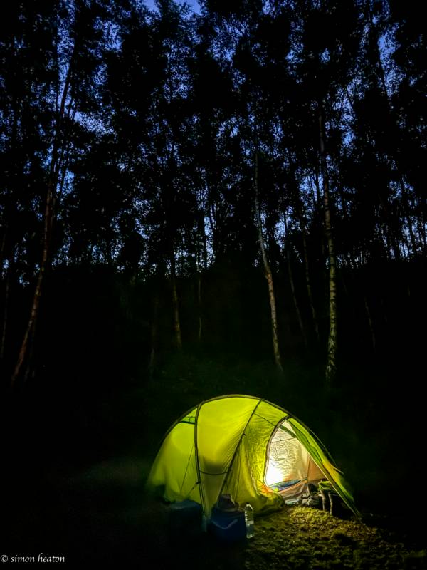 Forest Tent Pitch