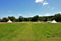 Tent Pitch