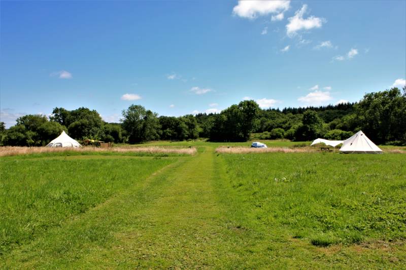 Tent Pitch