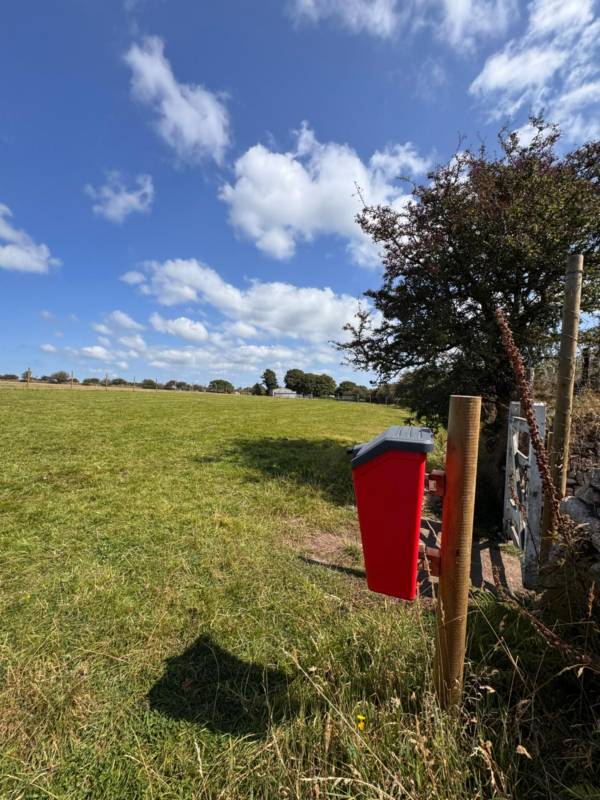 Dog Friendly Camping for 1-6 people