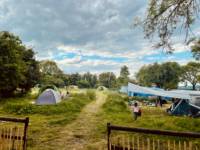 Grass Pitch 18