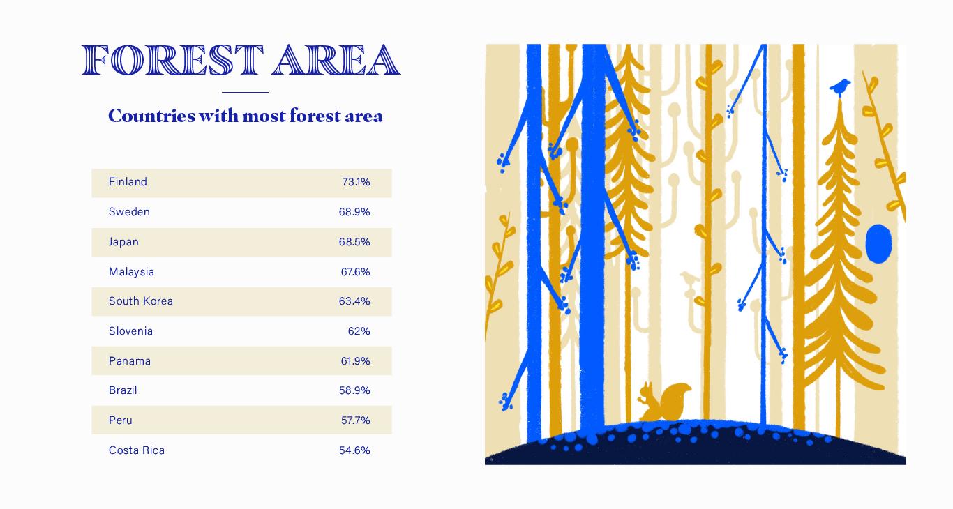 Forest Area