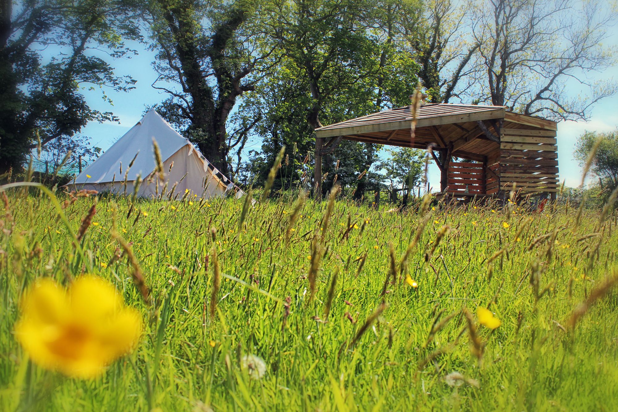 Glamping in Milford Haven holidays at Glampingly