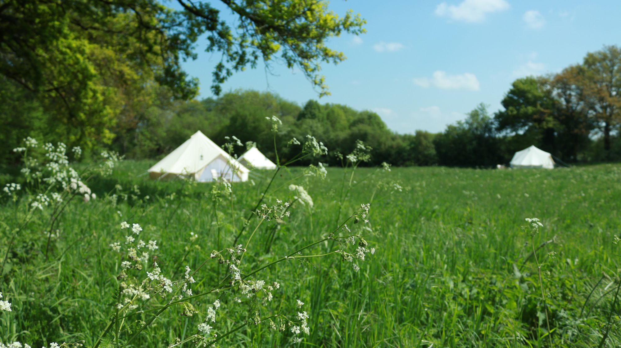 Campsites in Creuse – I Love This Campsite