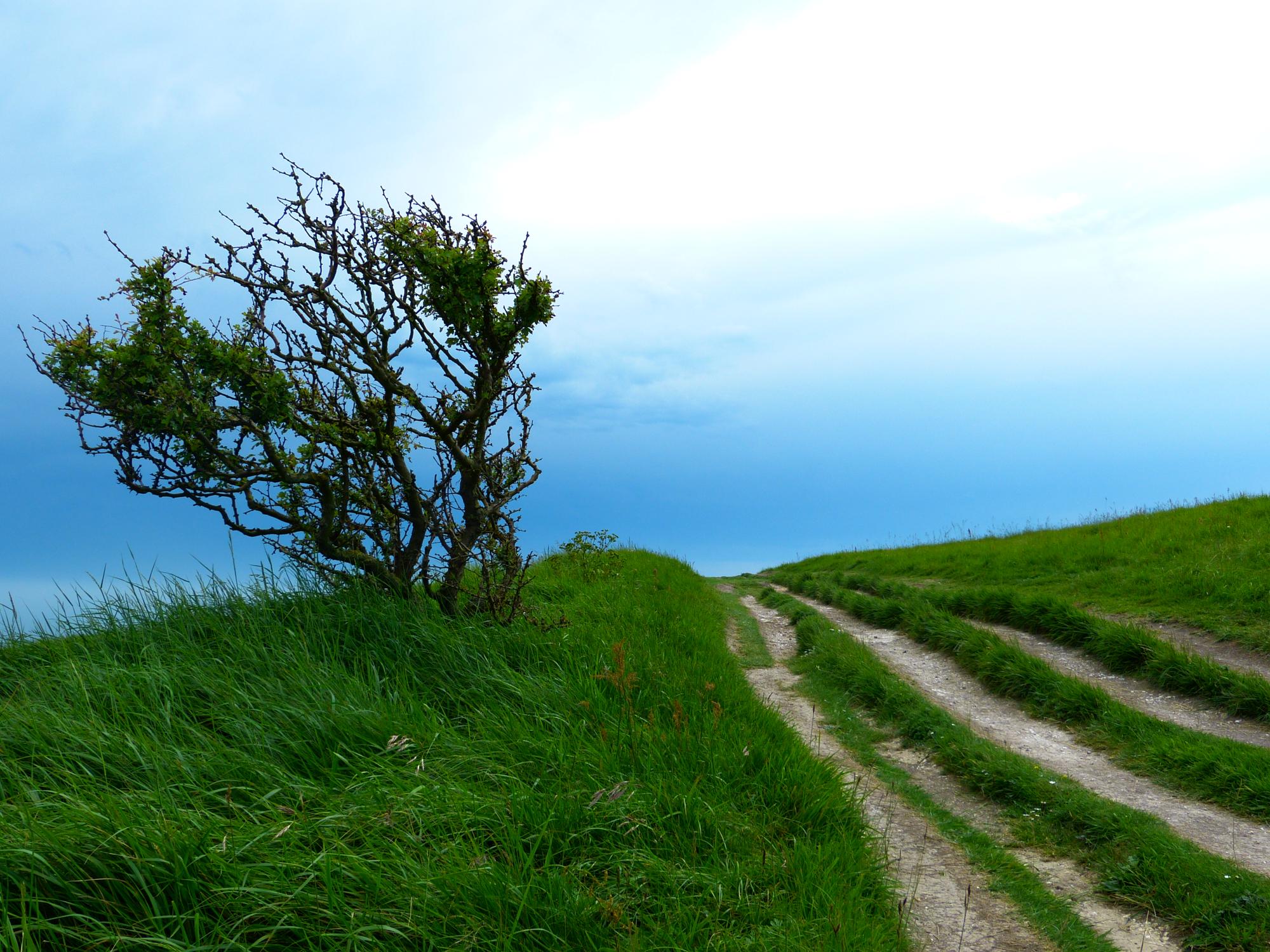 Folkestone Camping Best Campsites In Folkestone Kent