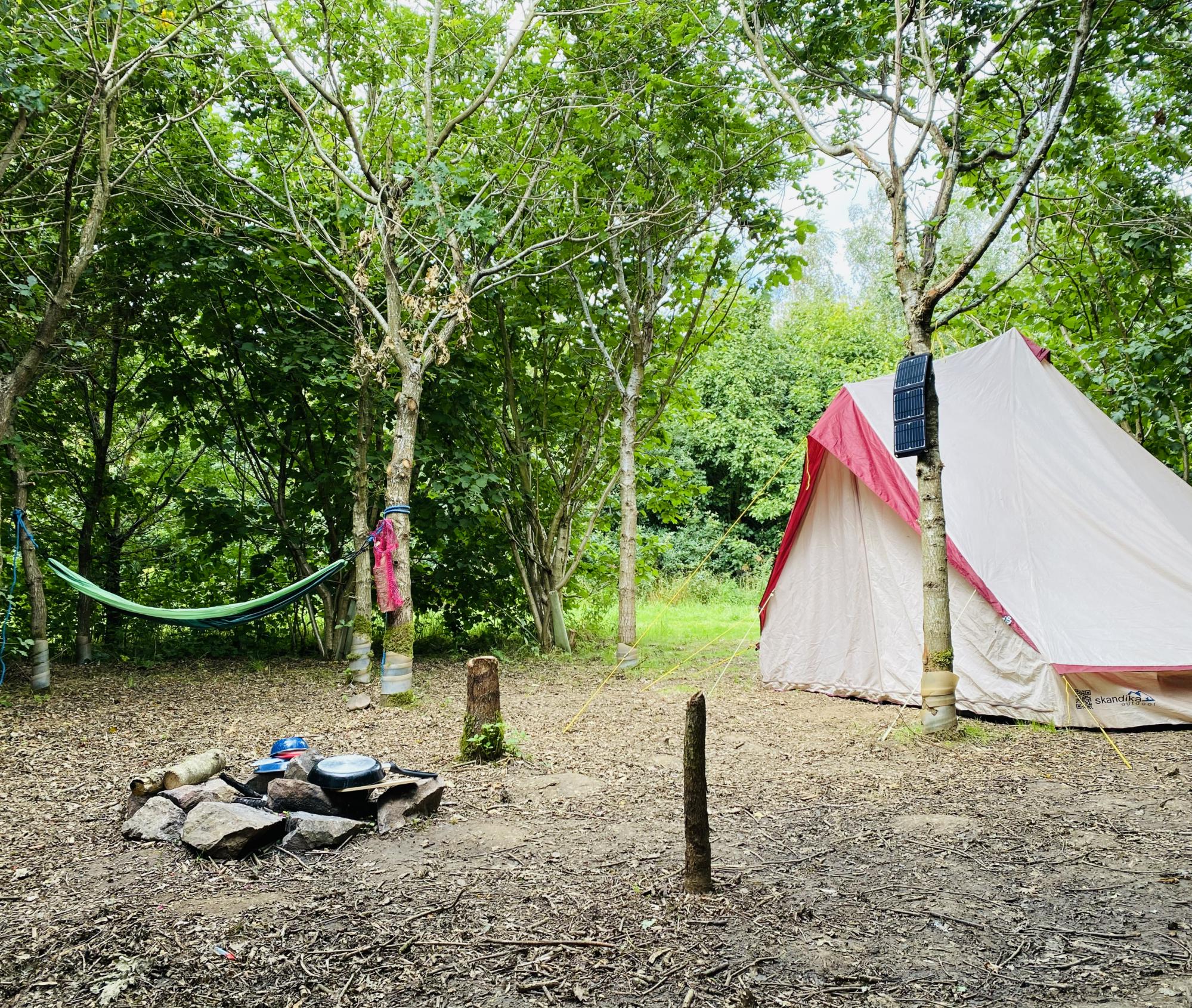 Campsites in Market Bosworth – Cool Camping