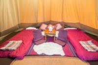 Pilton Yurt Camps- Trilodge for 3