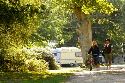 Hollands Wood Campsite Lyndhurst Road, Brockenhurst, Hampshire SO42 7QH