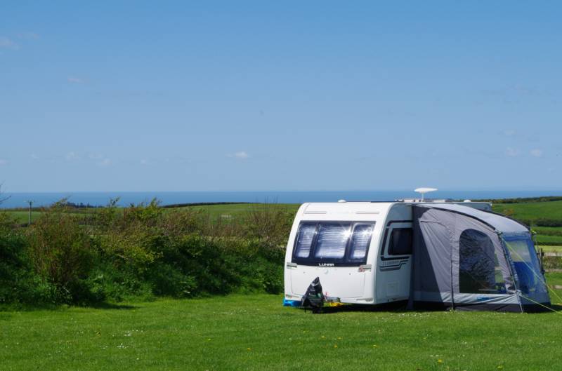 Large Grass Electric