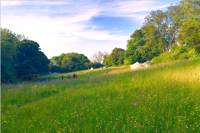 Grass pitch